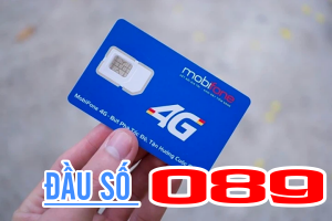 Đầu số 089 của nhà mạng nào, bật mí những ý nghĩa thú vị về đầu số này 
