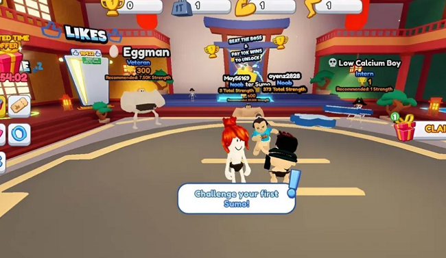 code Sumo Simulator