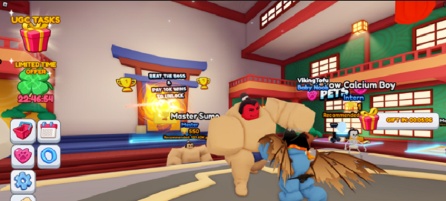 cach nhap code Sumo Simulator