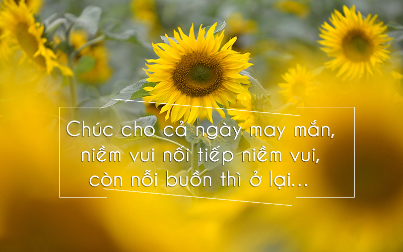 Những lời chúc may mắn hay